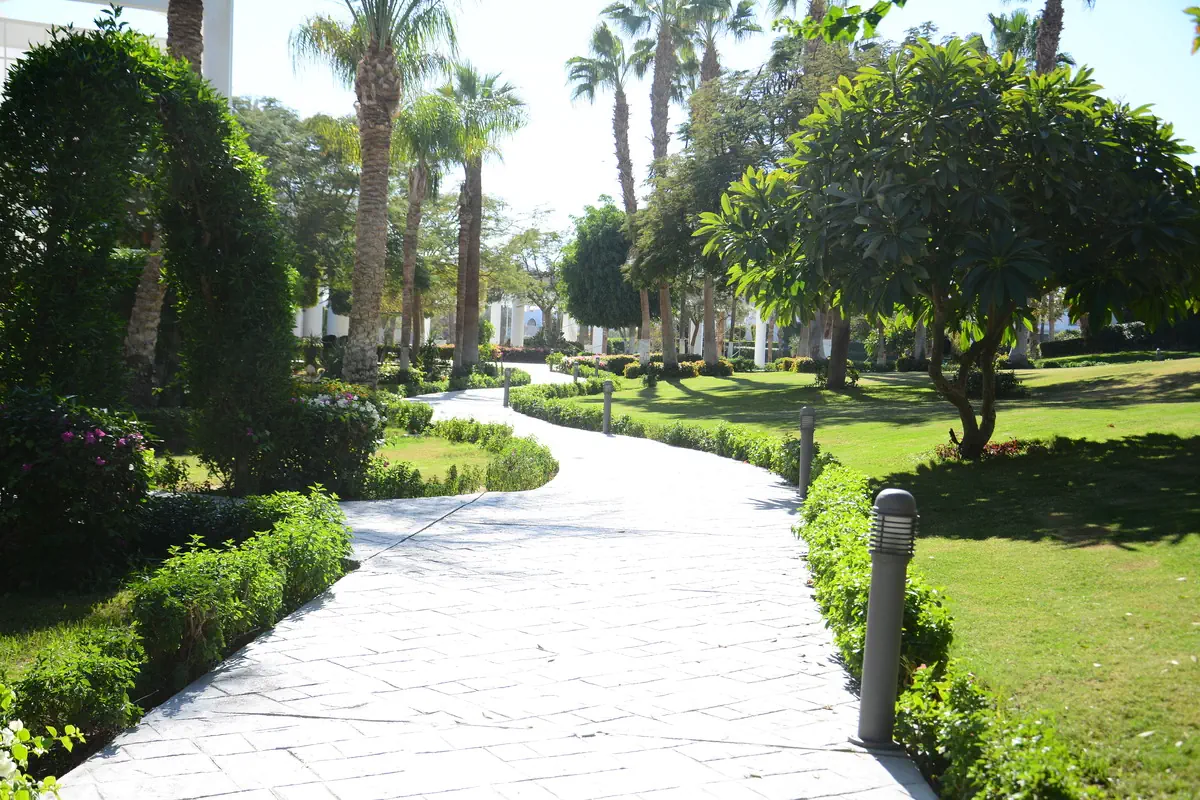 Royal Monte Carlo Resort & Spa - zdjęcie 9