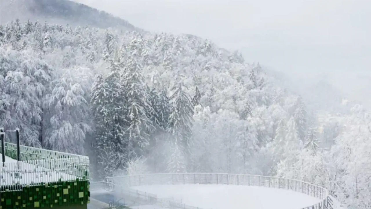 Zdraviliski Dvor - zdjęcie 17