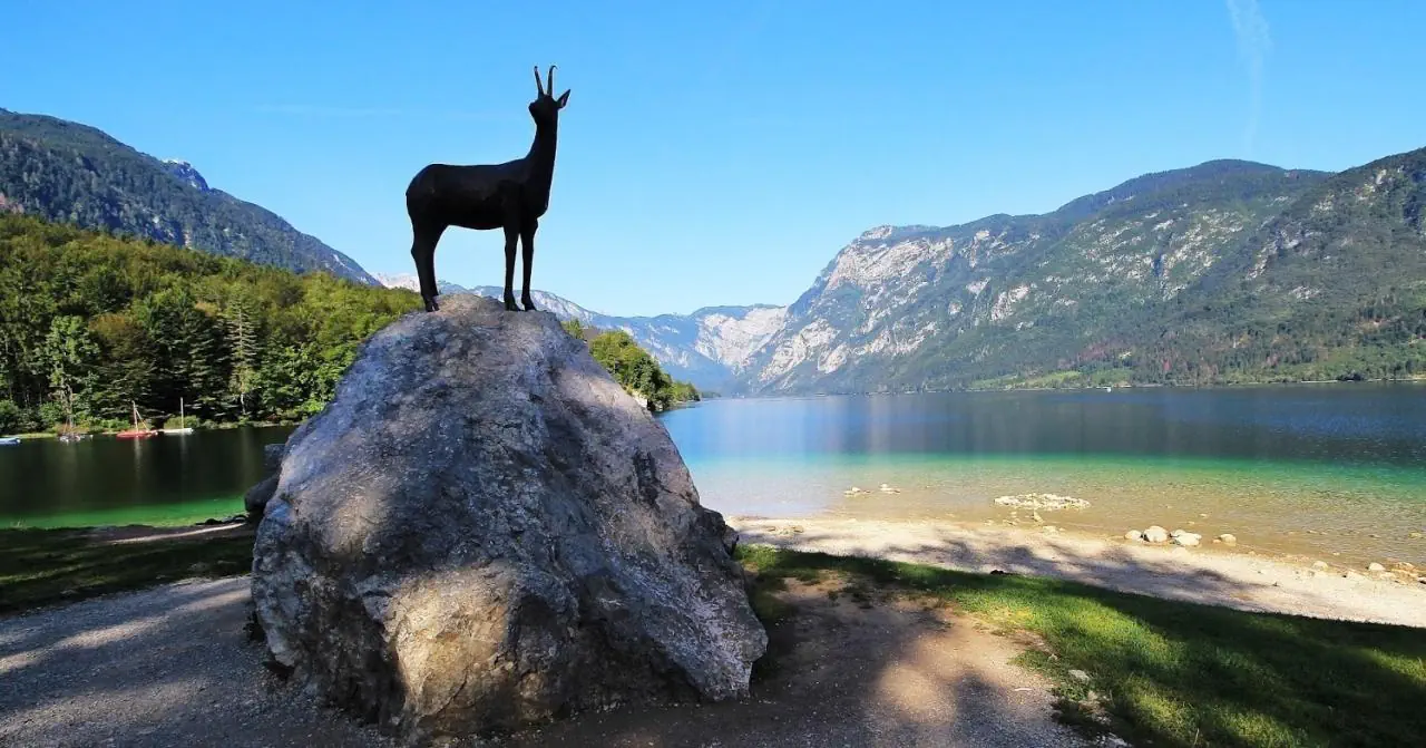 Jezero (Bohinj) - zdjęcie 21