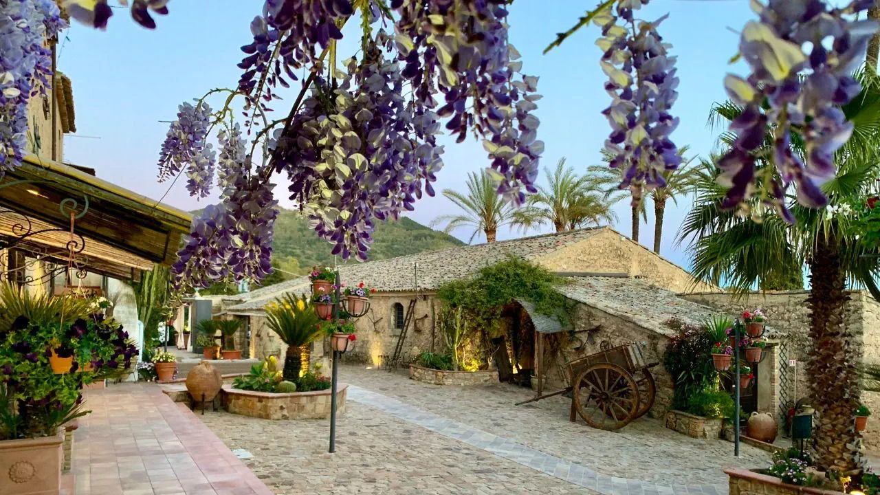 Agriturismo Vecchia Masseria - zdjęcie 15
