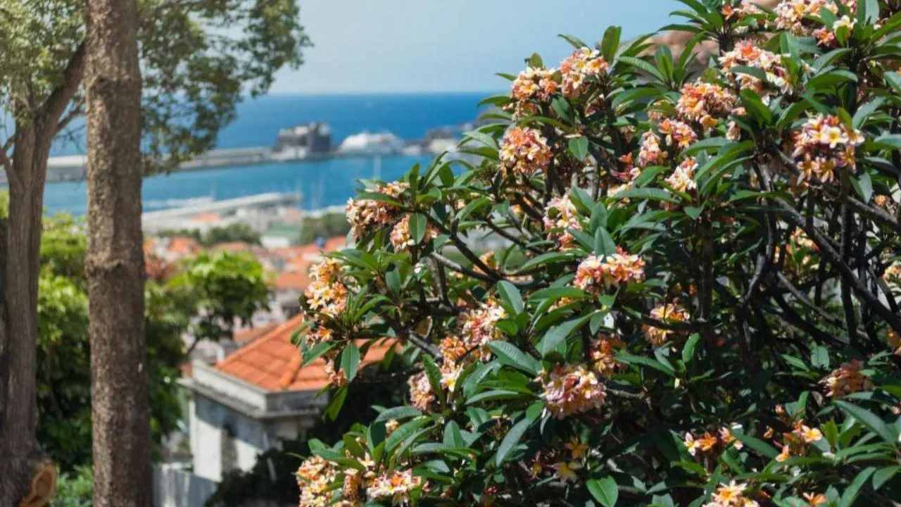 HOTEL Arts In Hotel Conde Carvalhal