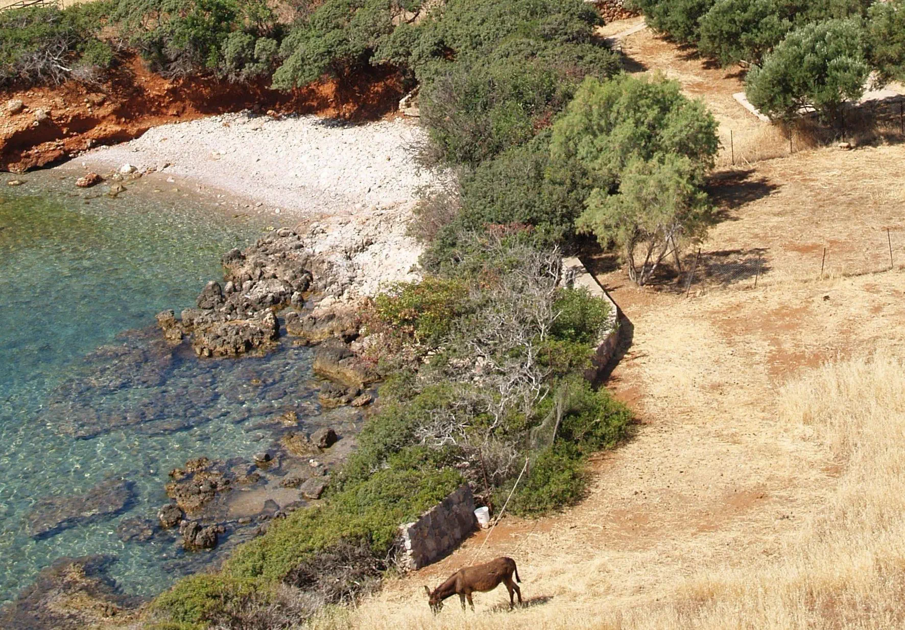 Cretan Village Hotel