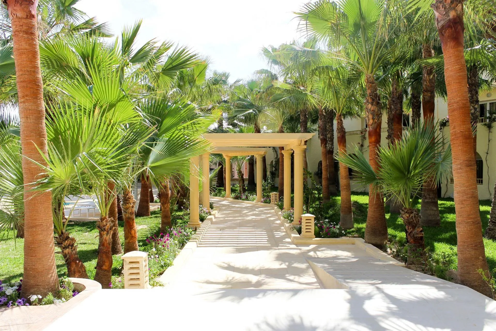 Ksar Djerba - zdjęcie 7
