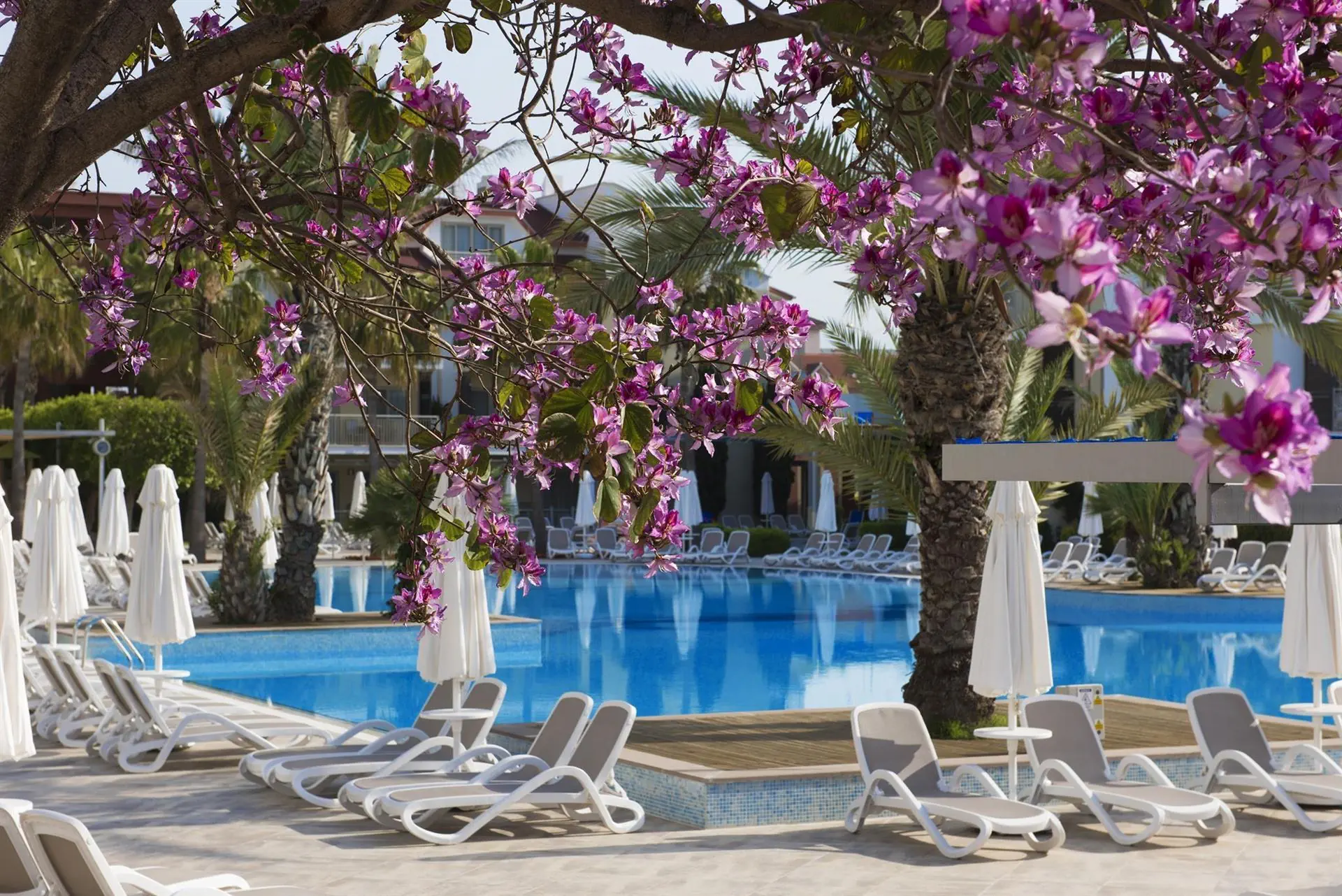 Barut B Suites - zdjęcie 3