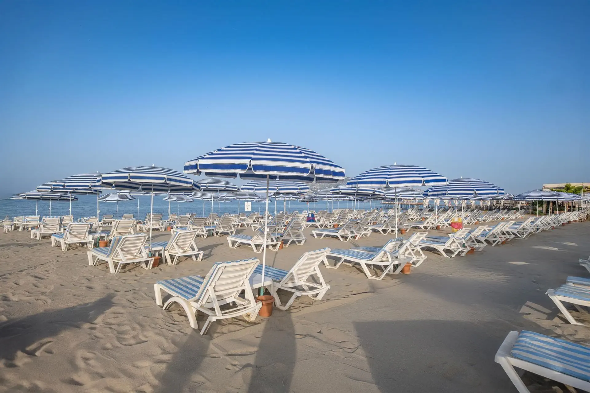 Ananas (Alanya) - zdjęcie 6
