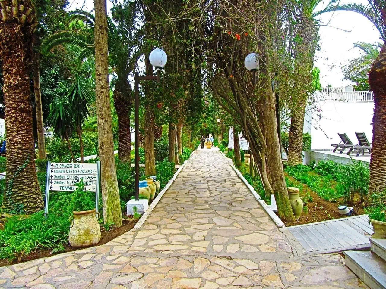 Les Orangers Beach Resort & Bungalows photo 1