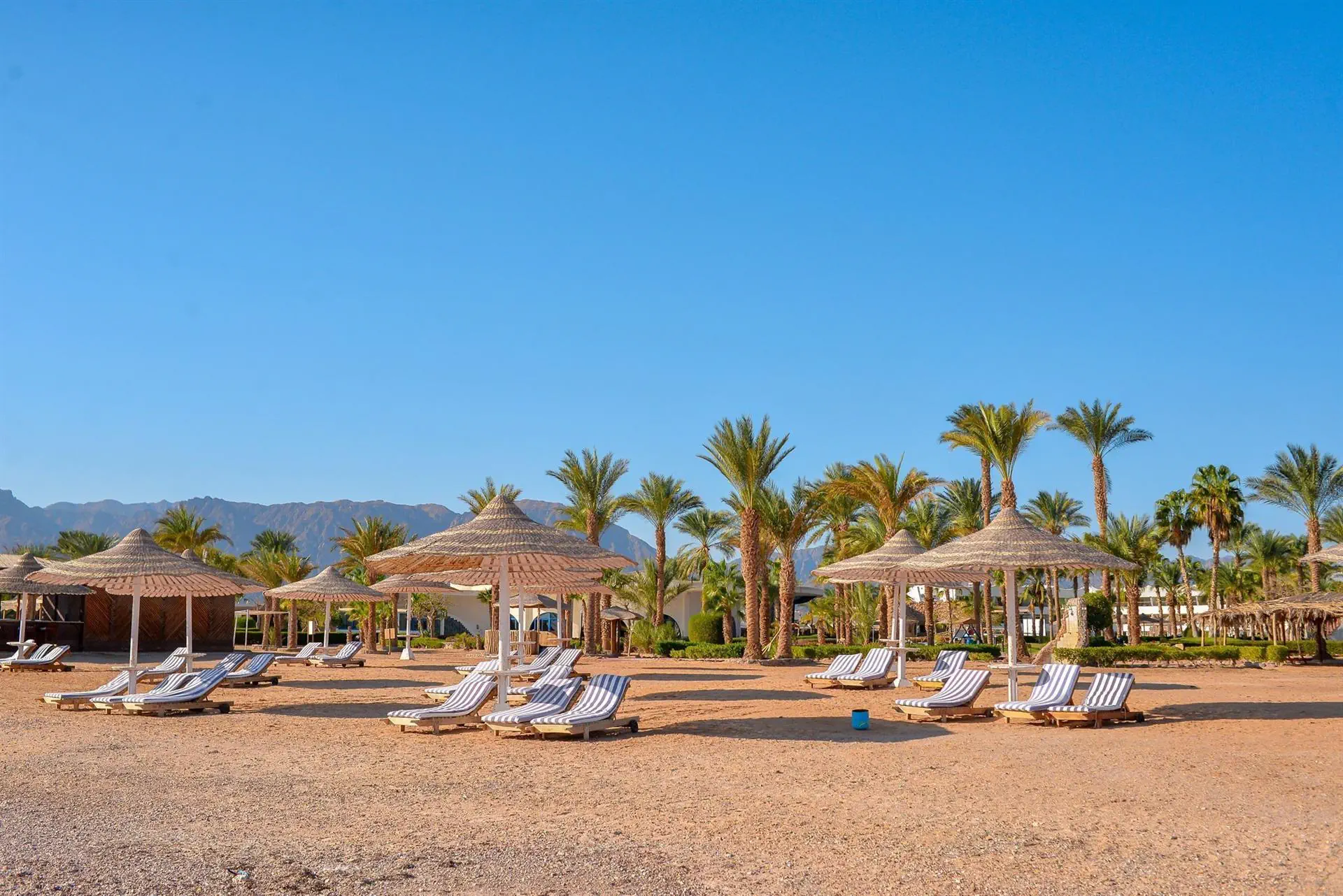 Time Coral Nuweiba Resort (ex. Hilton Nuweiba Coral Resort) - zdjęcie 15
