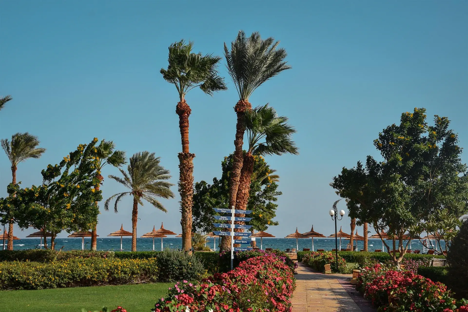 Nuweiba Club Resort (ex. Helnan Nuweiba Bay Resort) - zdjęcie 6
