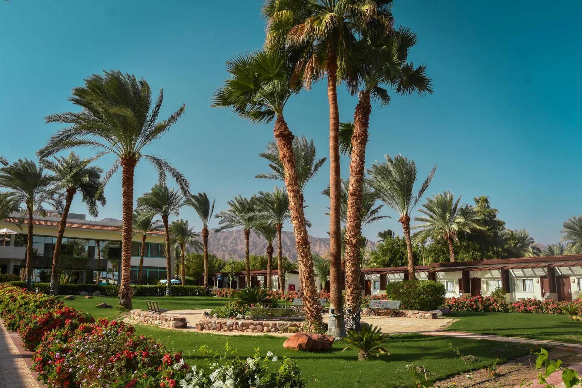 Nuweiba Club Resort (ex. Helnan Nuweiba Bay Resort) - zdjęcie 5