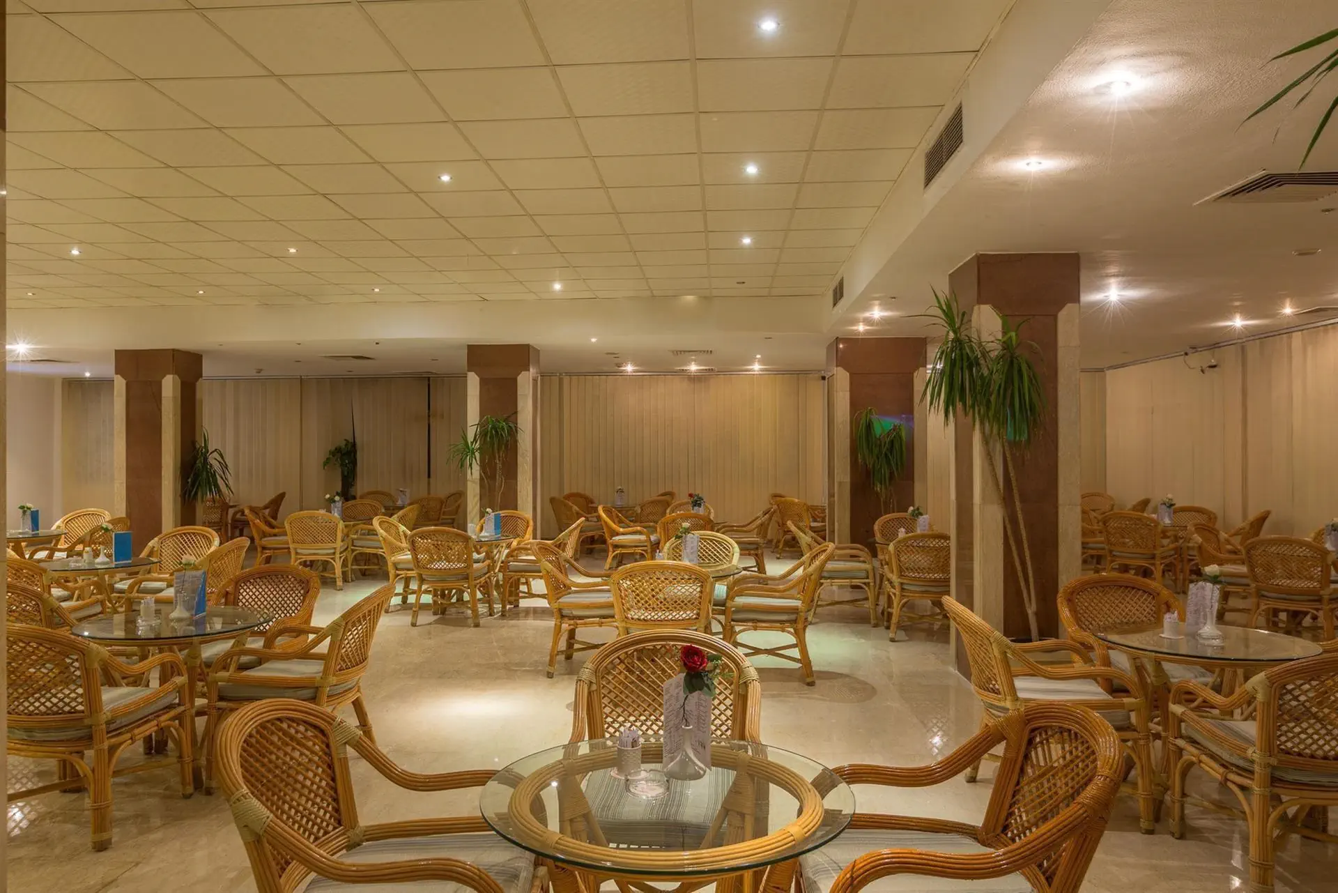 Aladdin Beach Resort - zdjęcie 23