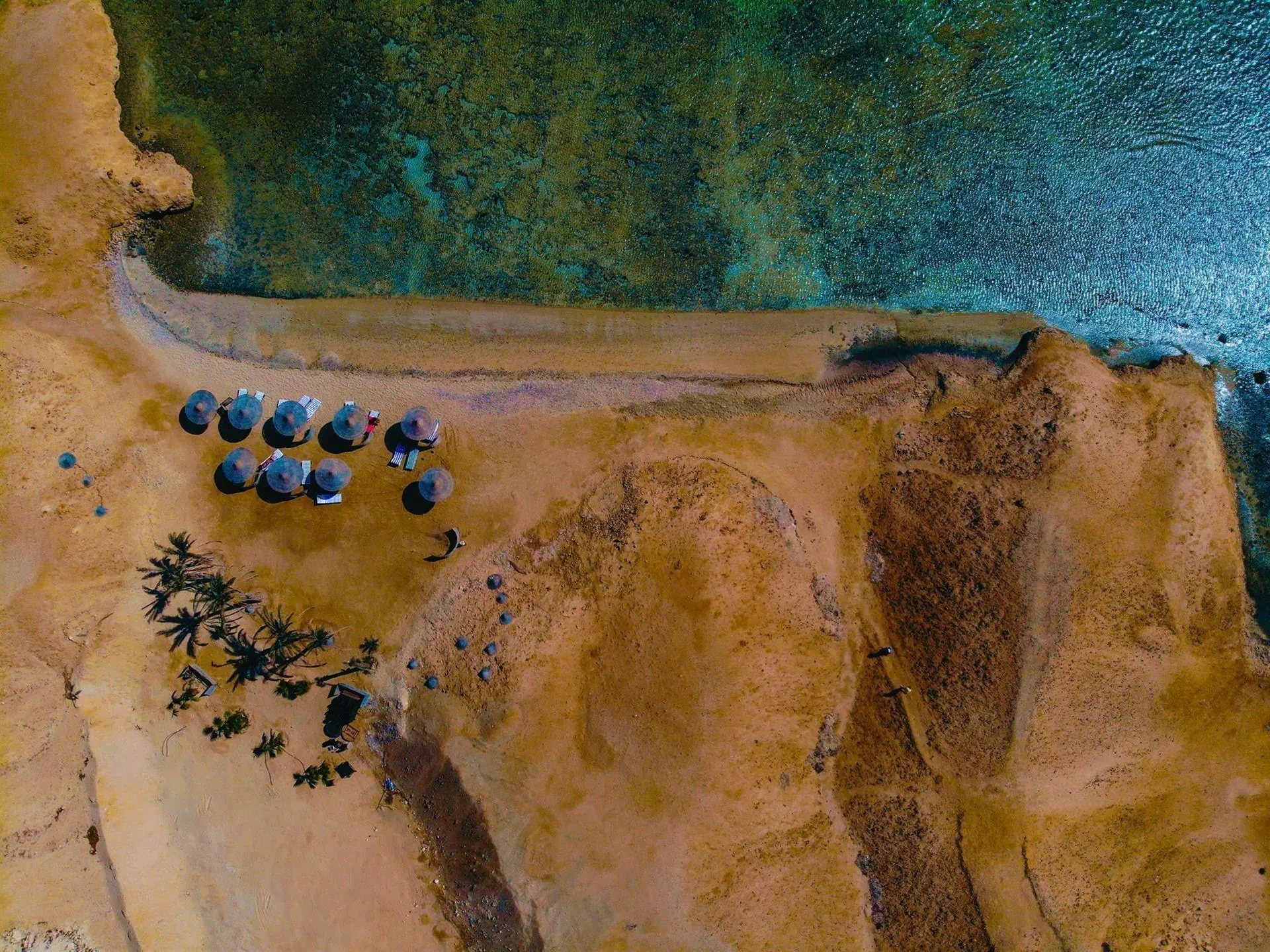 Wadi Lahmy Azur Resort - zdjęcie 9