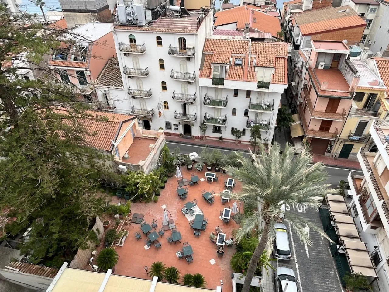 Delle Palme photo 2