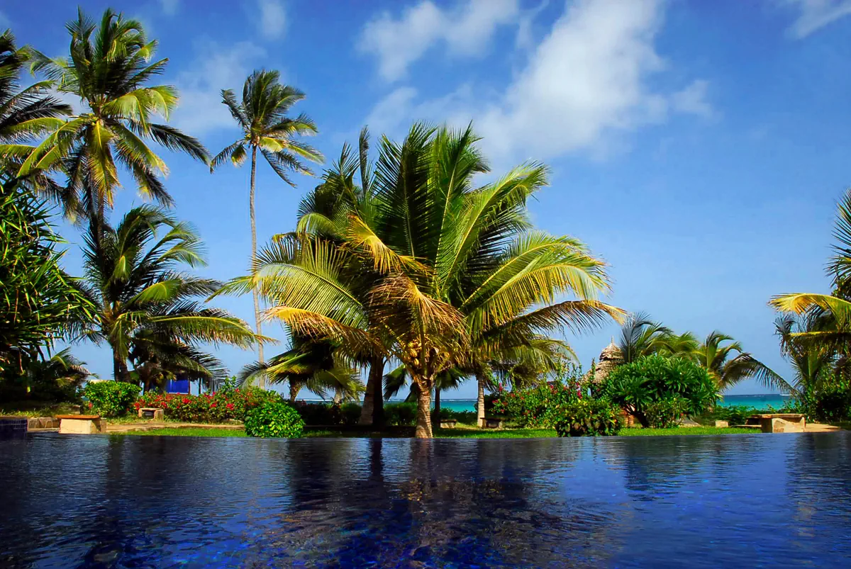 The Palms photo 3