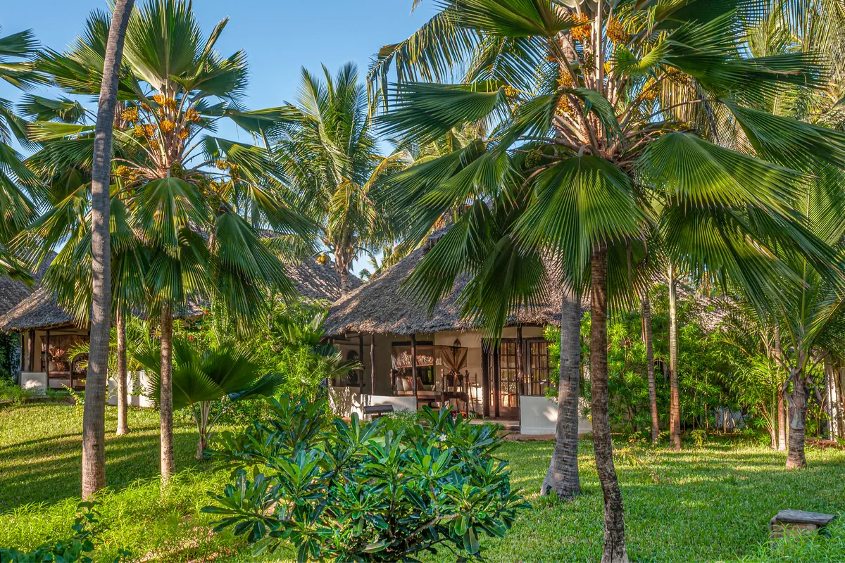 The Palms photo 0