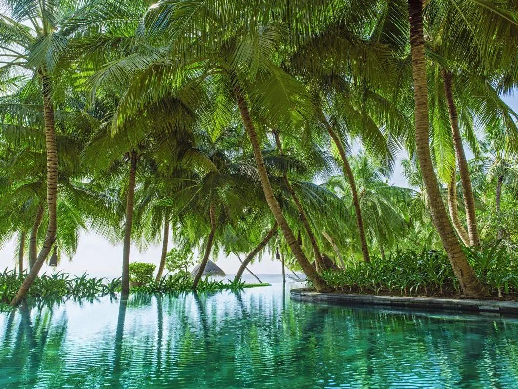 One & Only Reethi Rah - zdjęcie 15