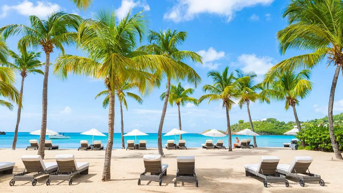 Carlisle Bay - zdjęcie 9