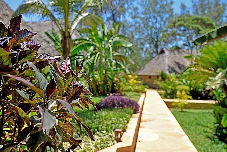 Tulia Zanzibar Unique Beach - zdjęcie 15