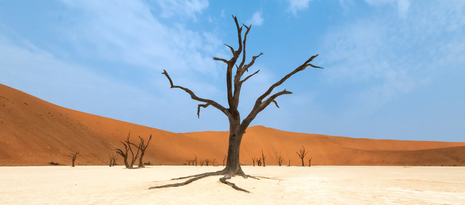 Namibia - w rytmie afrykańskiej natury - zdjęcie 22