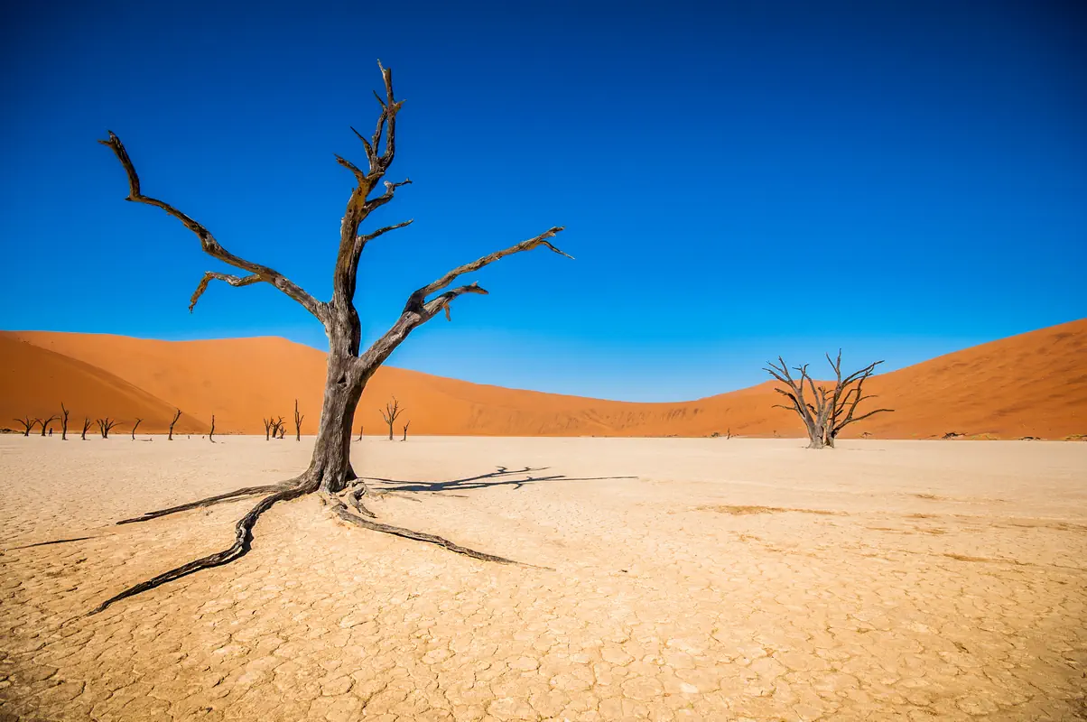 Namibia - w rytmie afrykańskiej natury - zdjęcie 7