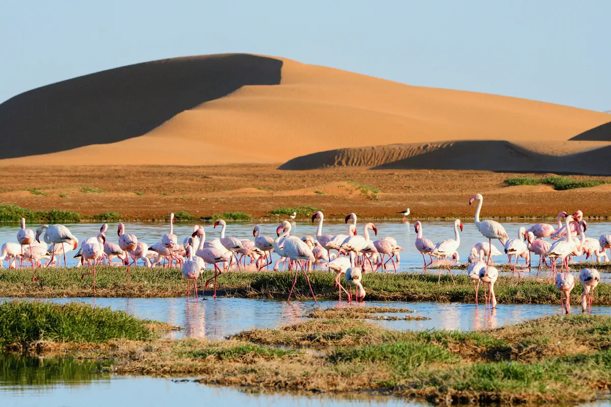 Namibia - w rytmie afrykańskiej natury - zdjęcie 13