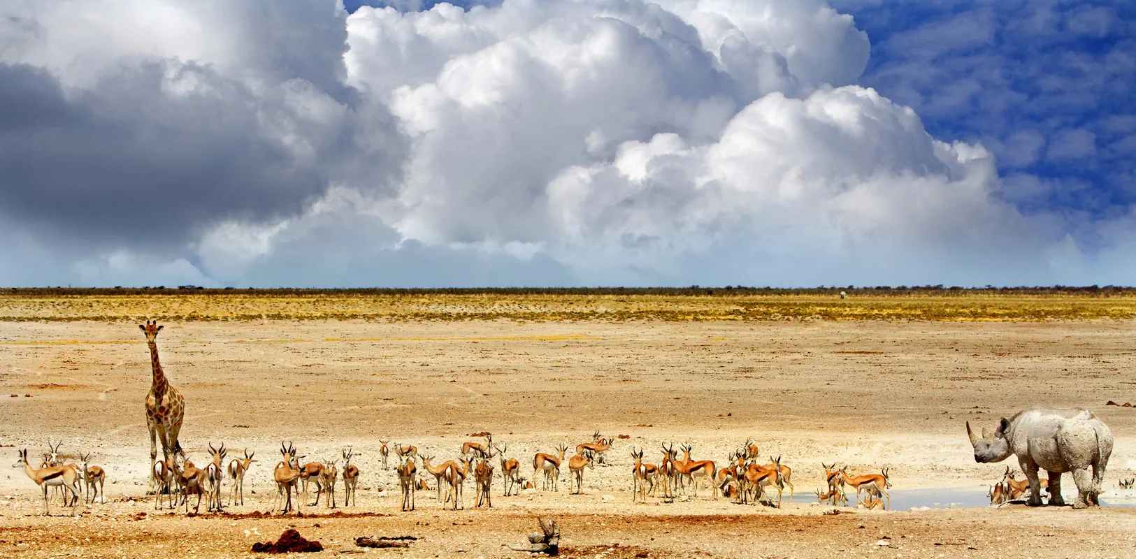 Namibia - w rytmie afrykańskiej natury - zdjęcie 10