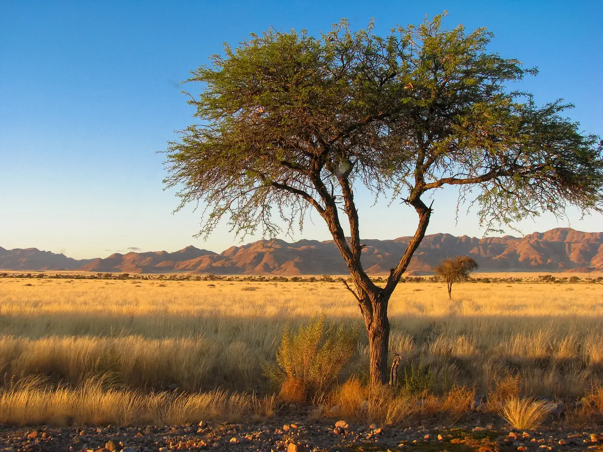 Namibia - w rytmie afrykańskiej natury - zdjęcie 5