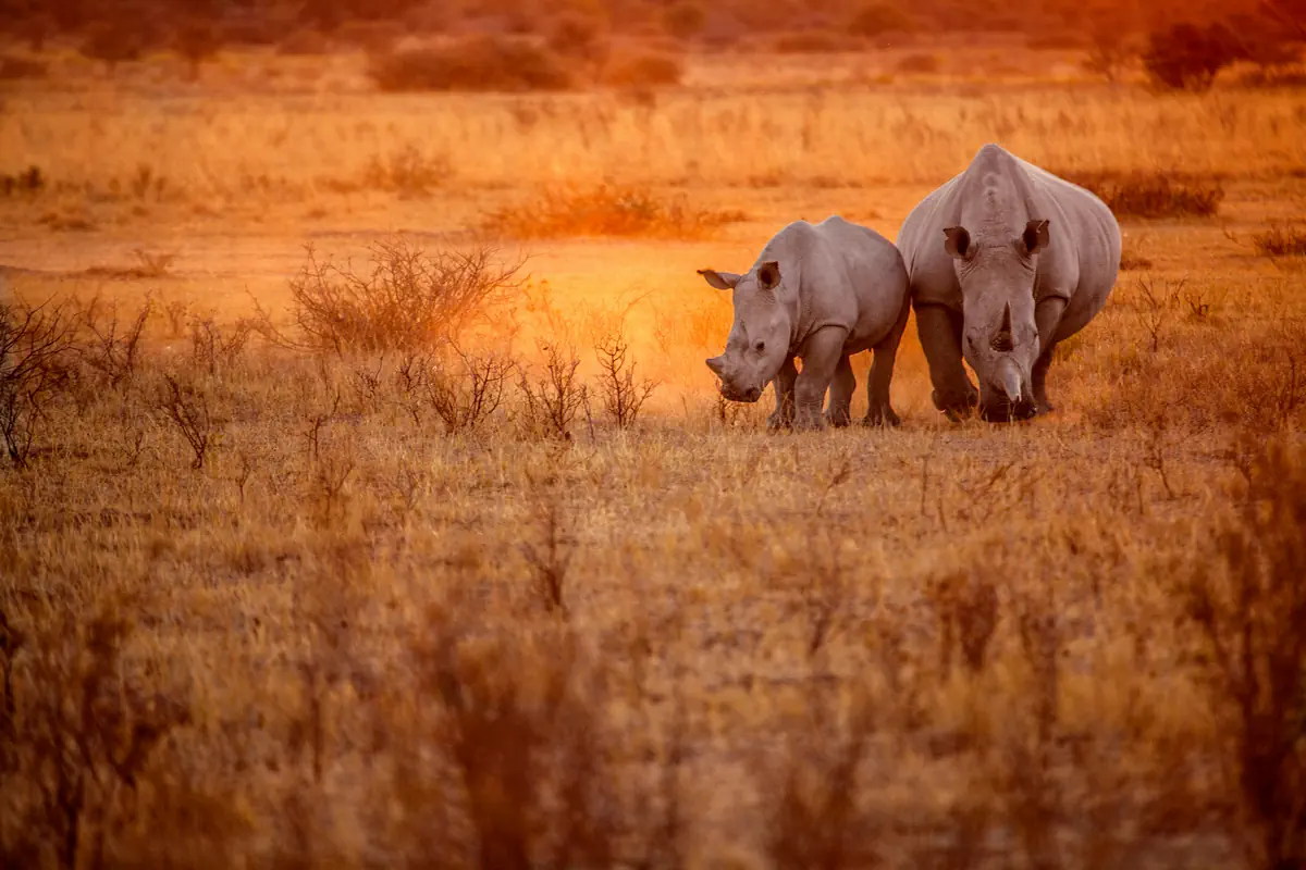 Namibia - w rytmie afrykańskiej natury - zdjęcie 6