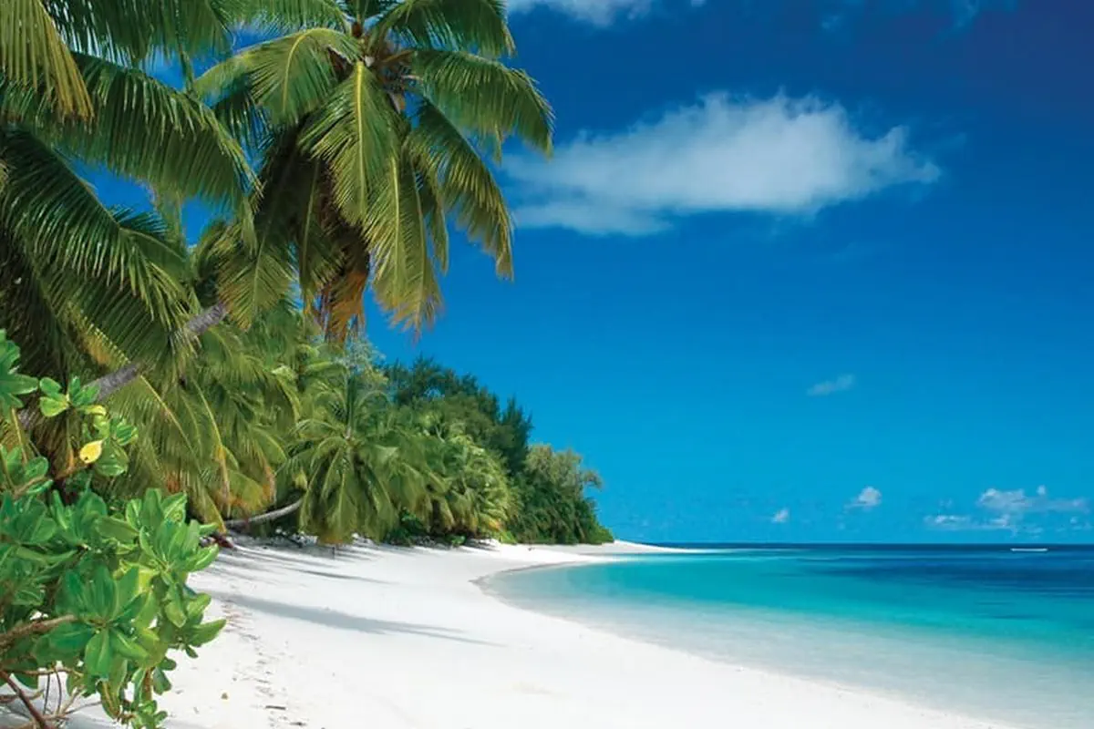 Four Seasons Resort Seychelles at Desroches Island (ex. Desroches Island Resort) - zdjęcie 8