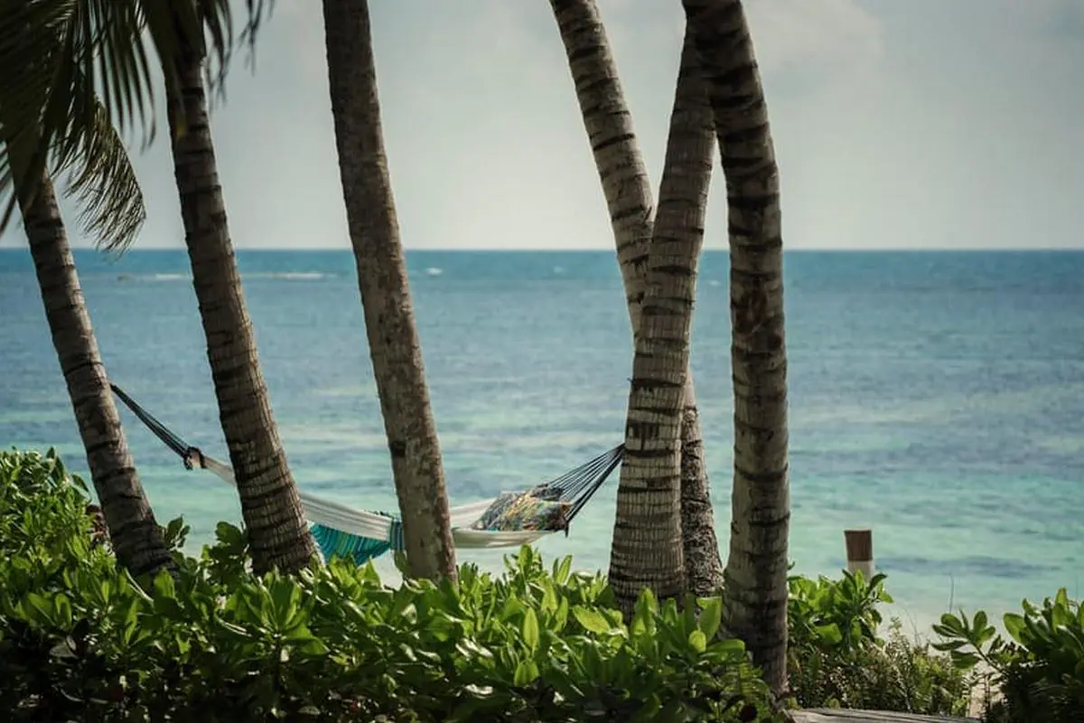Four Seasons Resort Seychelles at Desroches Island (ex. Desroches Island Resort) - zdjęcie 7