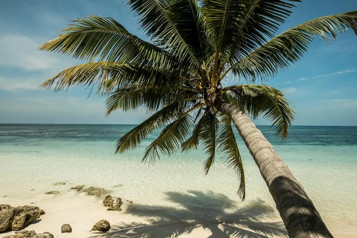 Four Seasons Resort Seychelles at Desroches Island (ex. Desroches Island Resort) - zdjęcie 9
