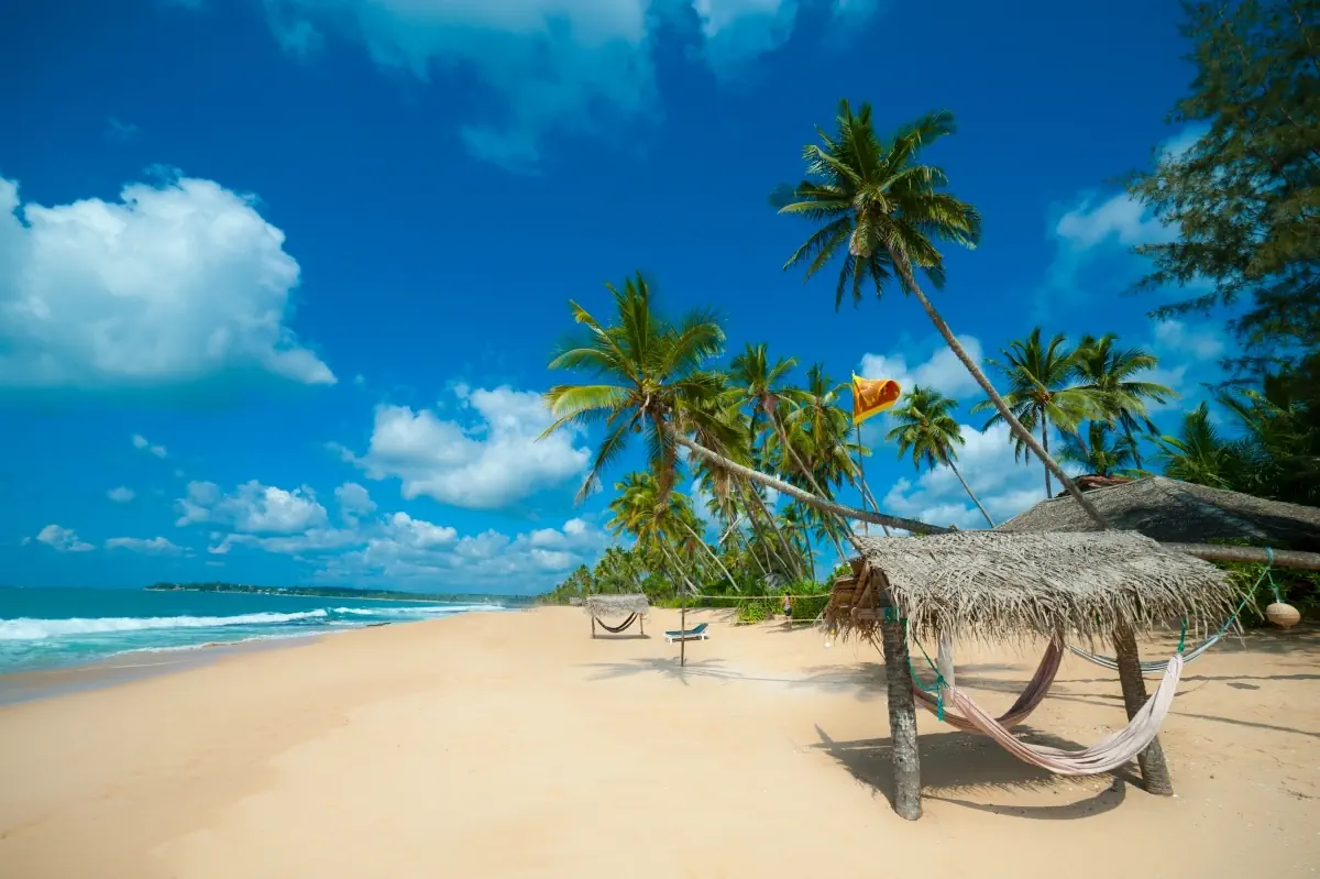 Skarby Sri Lanki i dziewicze plaże - zdjęcie 13