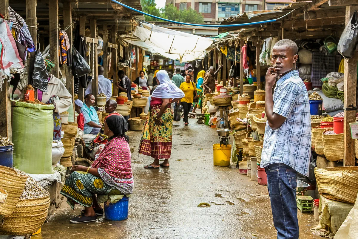 Safari i Zanzibar - zdjęcie 3