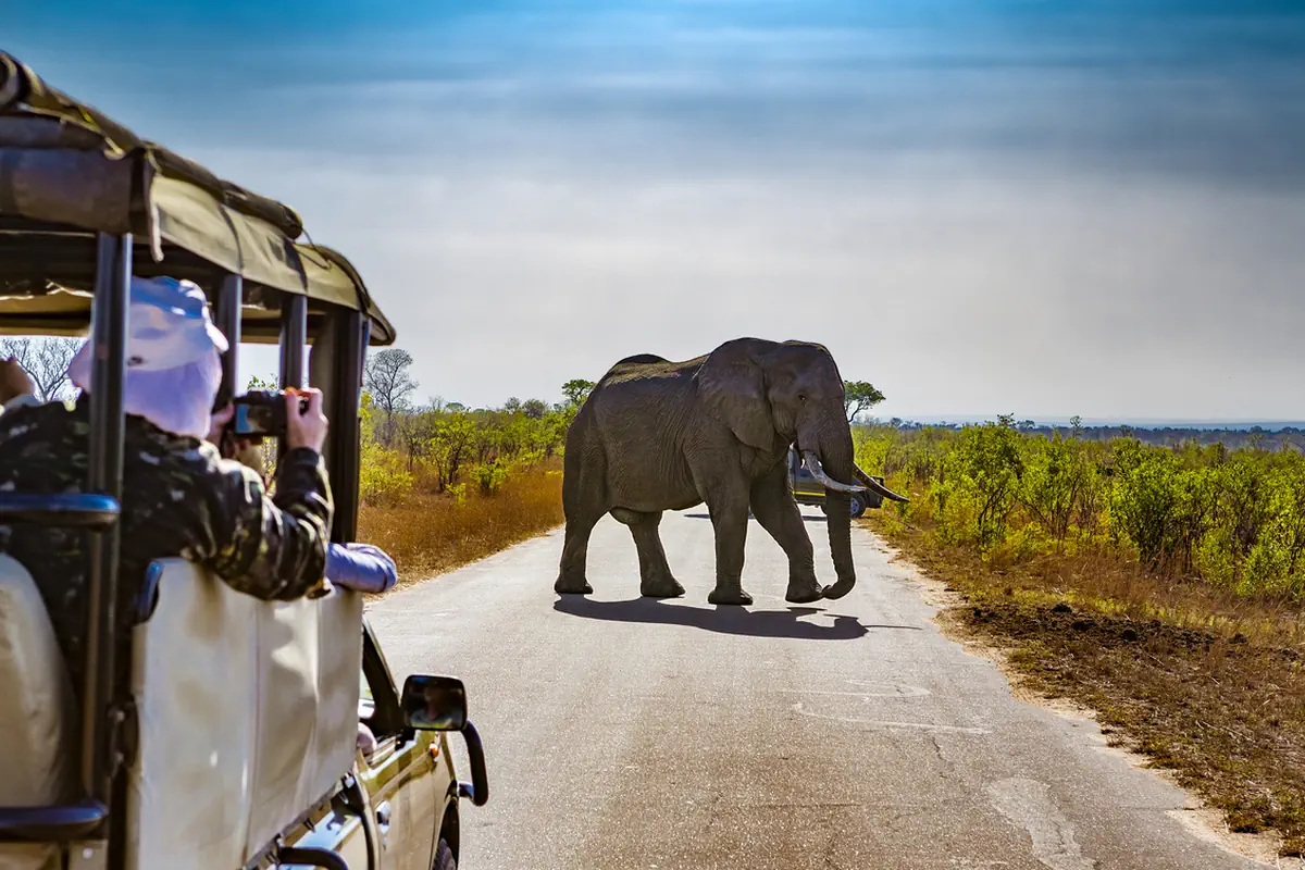 Safari i Zanzibar - zdjęcie 6