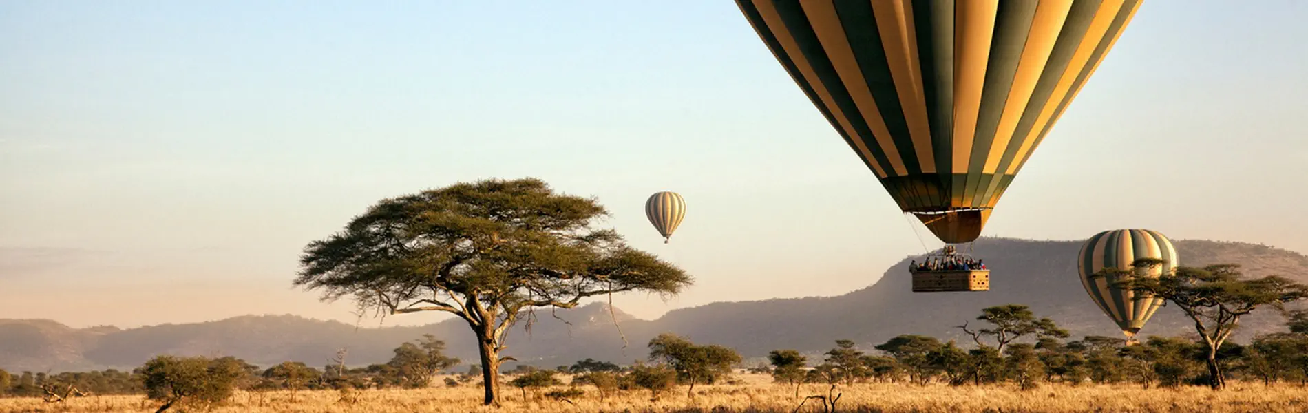 Safari i Zanzibar - zdjęcie 16