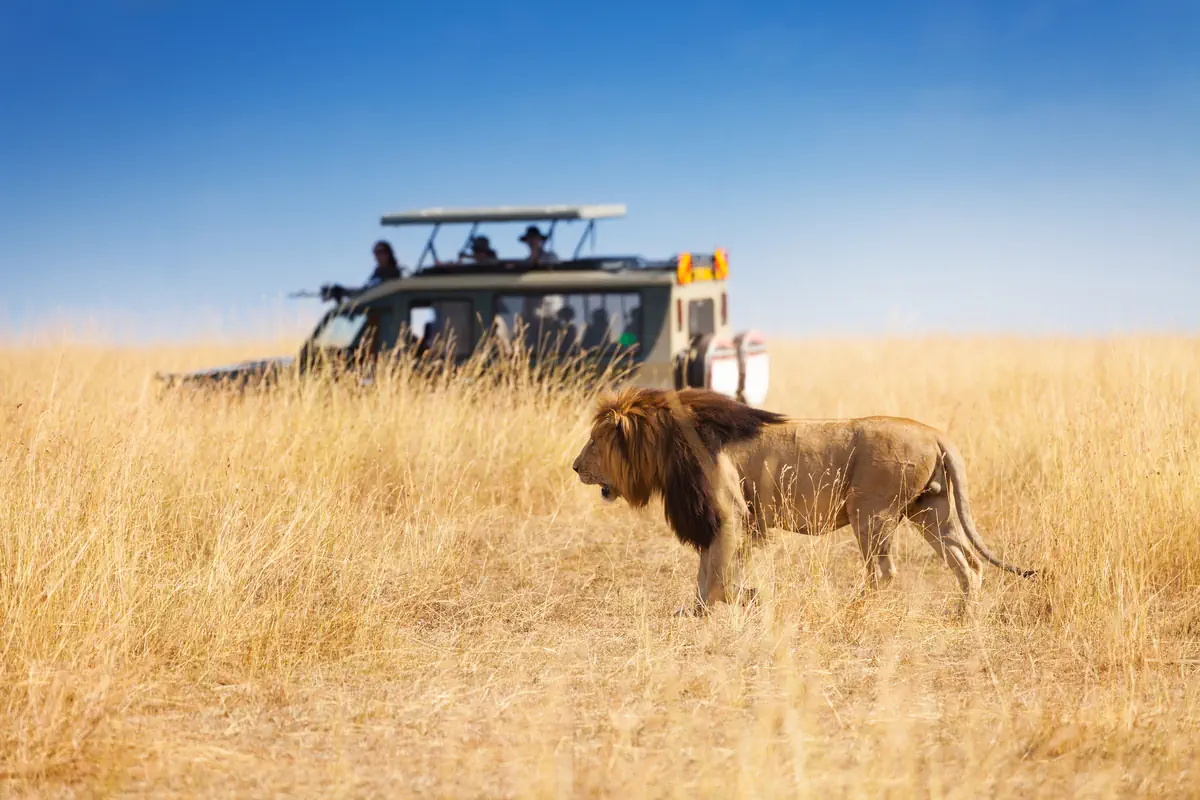 Safari i Zanzibar - zdjęcie 2