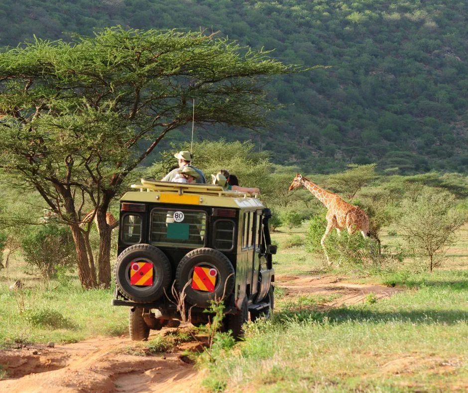 Kenia Tanzania z wypoczynkiem na Zanzibarze - zdjęcie 12