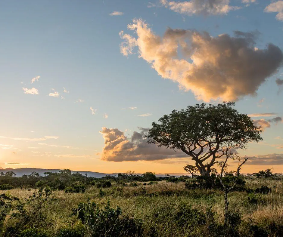 Kenia Tanzania z wypoczynkiem na Zanzibarze - zdjęcie 13