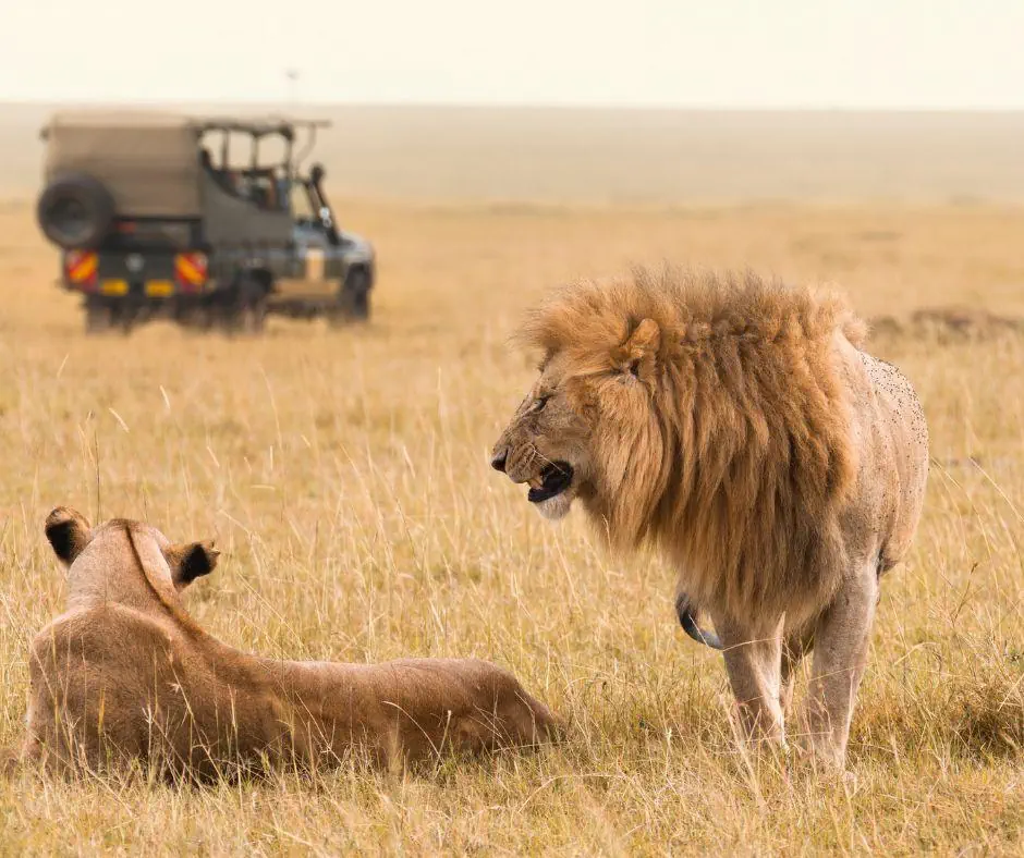 Kenia Tanzania z wypoczynkiem na Zanzibarze - zdjęcie 4
