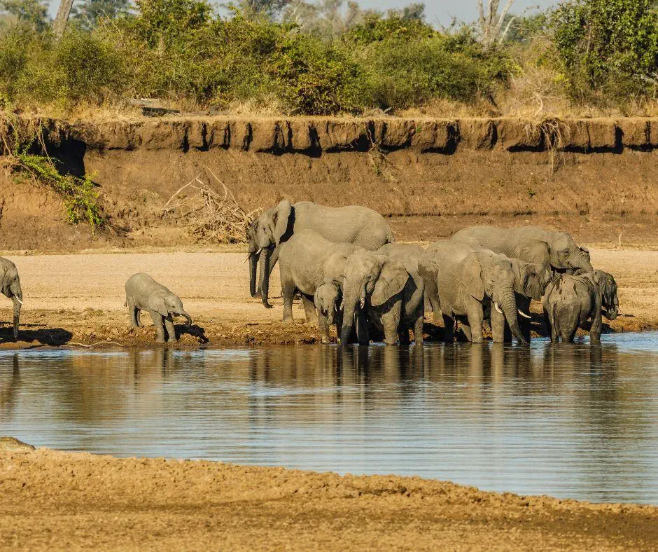 Kenia Tanzania z wypoczynkiem na Zanzibarze - zdjęcie 9