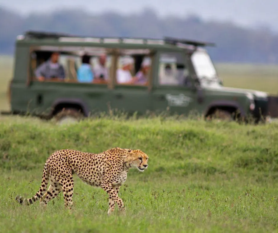 Kenia Tanzania z wypoczynkiem na Zanzibarze - zdjęcie 2