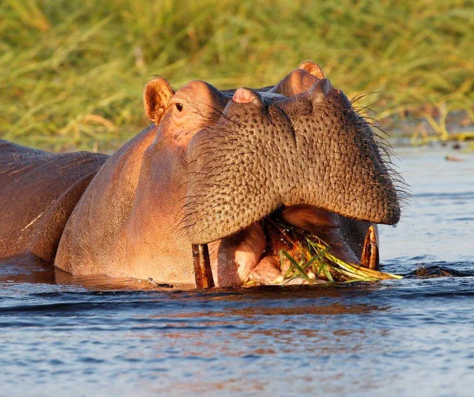 Kenia Tanzania z wypoczynkiem na Zanzibarze - zdjęcie 17
