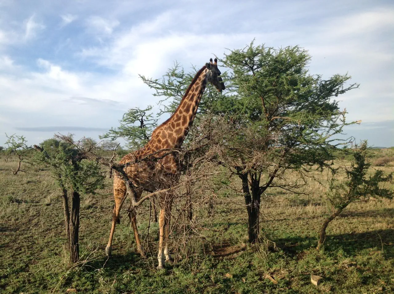Kenia Tanzania z wypoczynkiem na Zanzibarze - zdjęcie 3