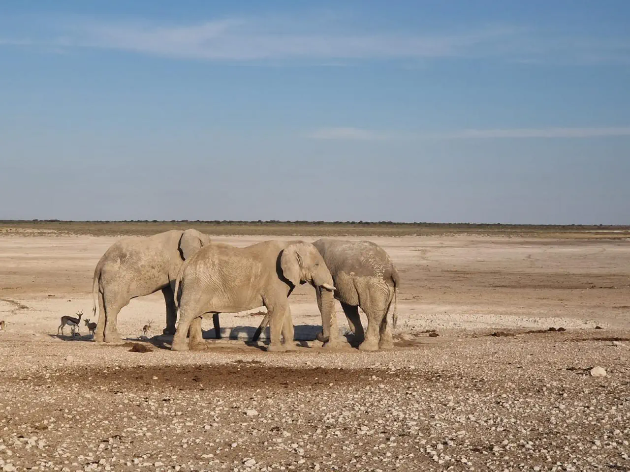 Namibia - Botswana - Zimbabwe - Zambia - zdjęcie 10