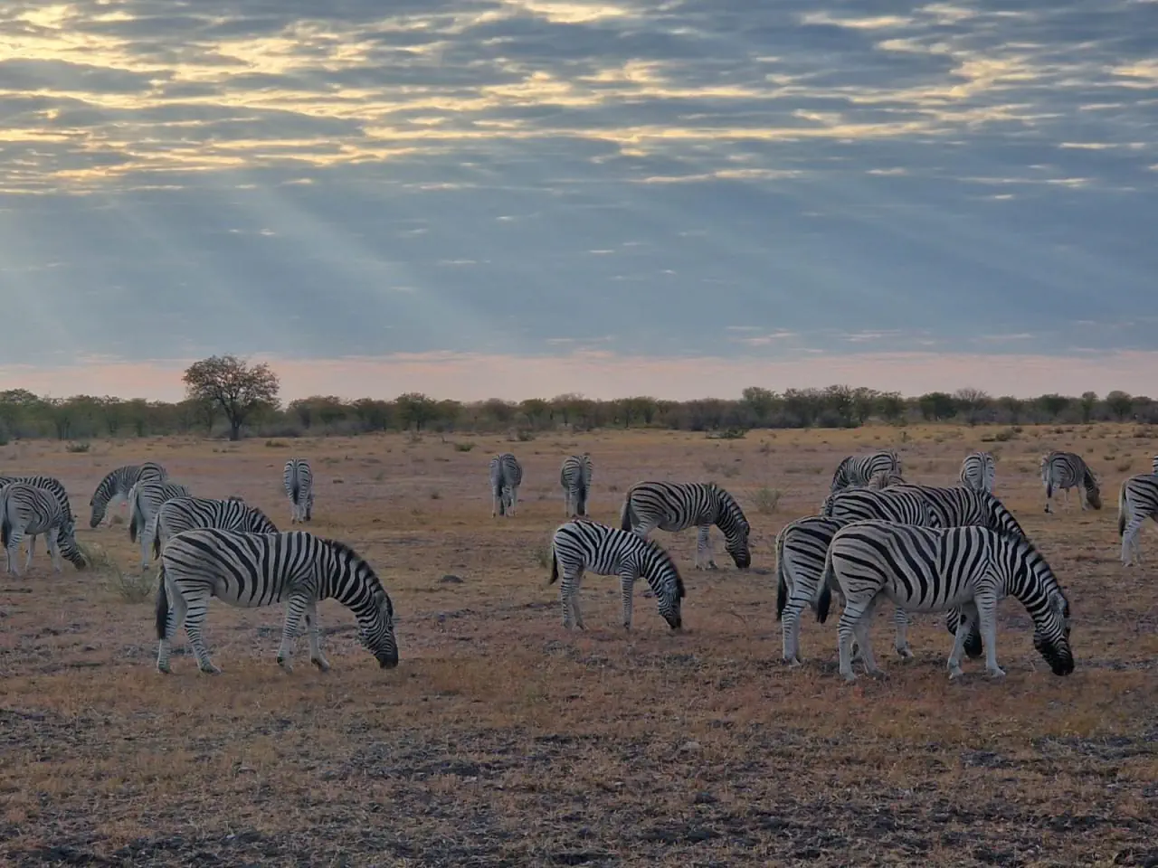 Namibia - Botswana - Zimbabwe - Zambia - zdjęcie 11