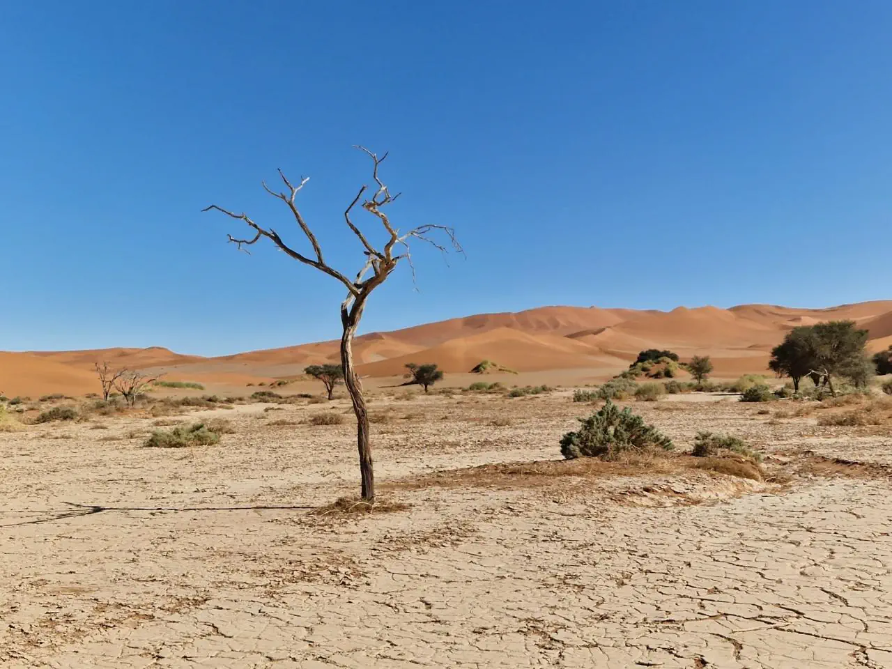 Namibia - Botswana - Zimbabwe - Zambia - zdjęcie 7