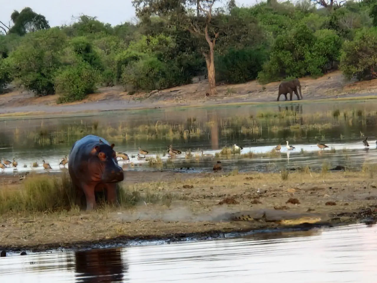 Namibia - Botswana - Zimbabwe - Zambia - zdjęcie 17
