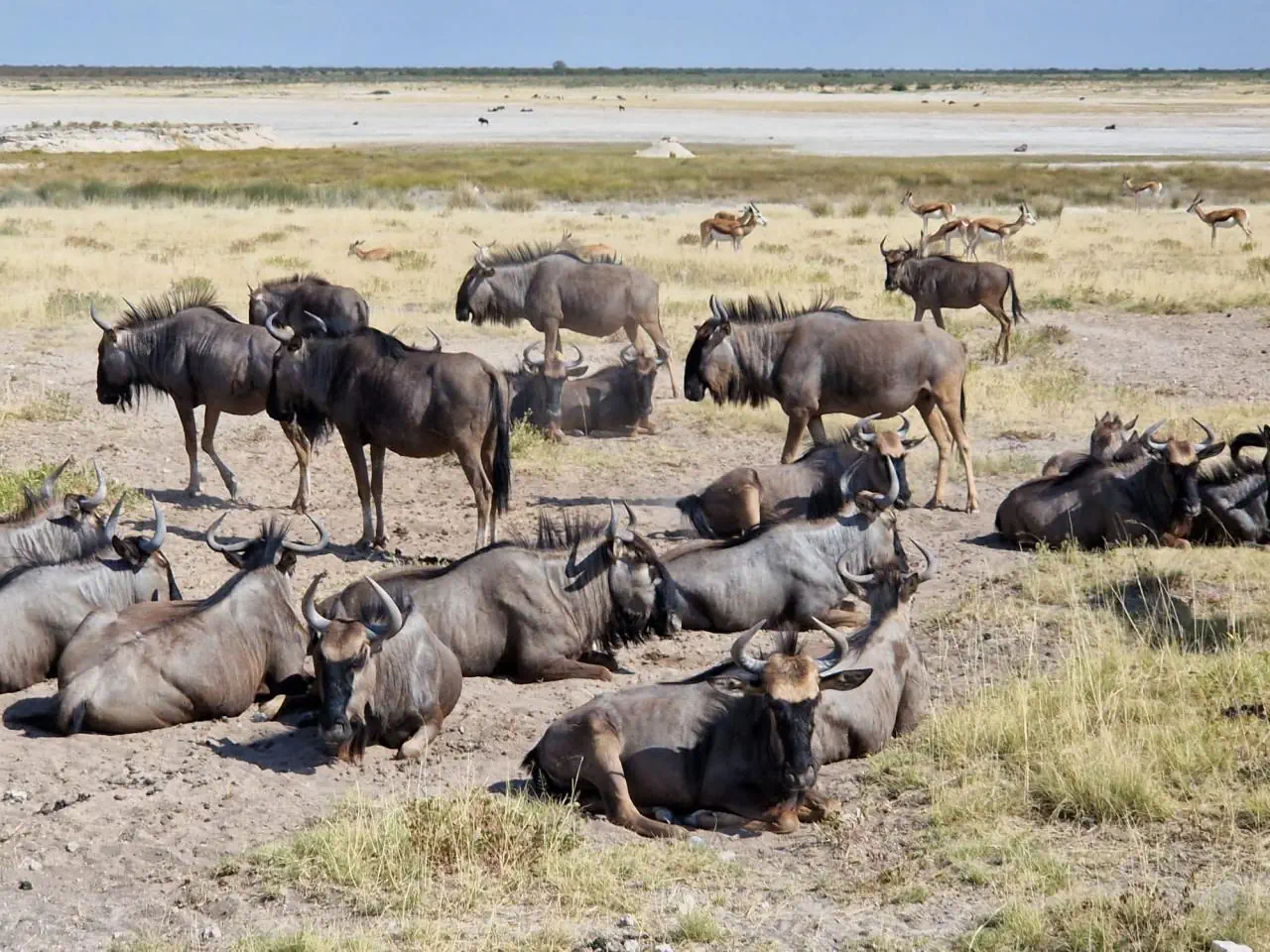 Namibia - Botswana - Zimbabwe - Zambia - zdjęcie 13