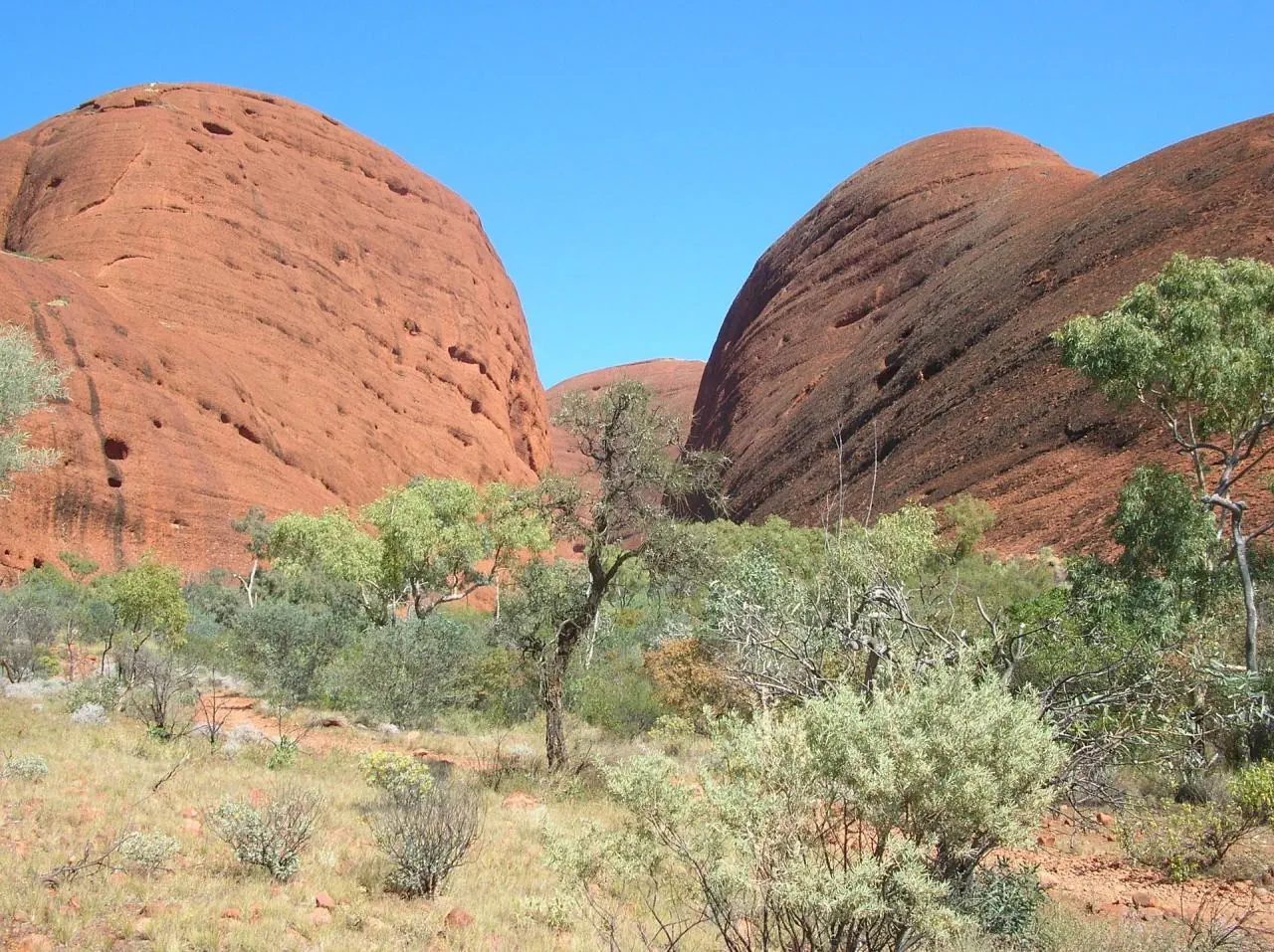 Australia I Tasmania - zdjęcie 6