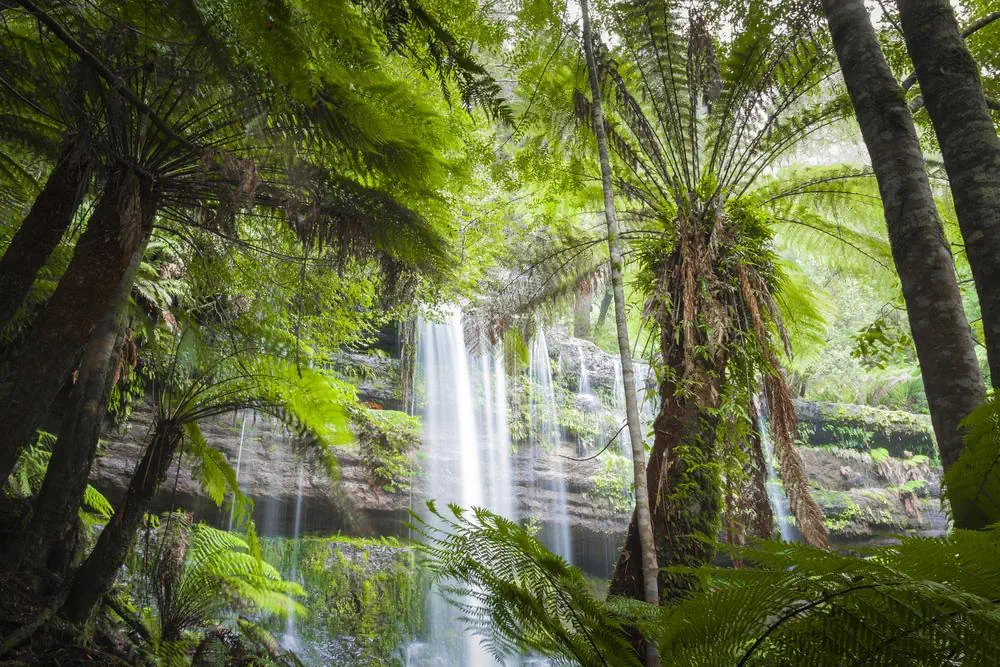 Australia I Tasmania - zdjęcie 16