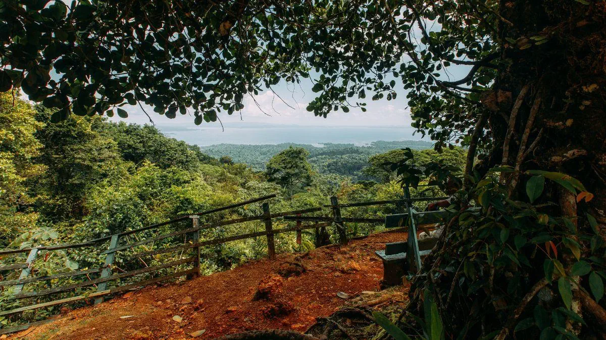 Gujana Francuska Surinam Gujana Trynidad z wypoczynkiem na Tobago - zdjęcie 10